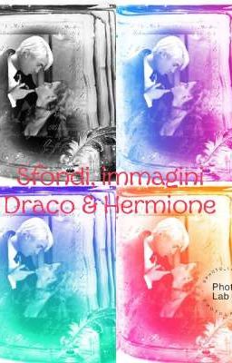 sfondi, immagini Draco & Hermione 