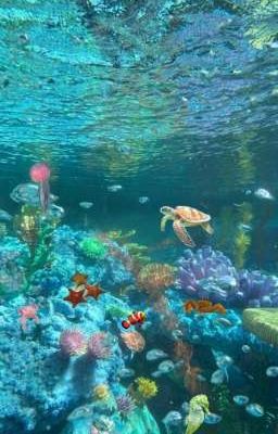 [ SGP / 1S ] Conffesion bất ổn cùng AOV