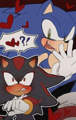 [ Shadonic/Sonadow ] Dumb