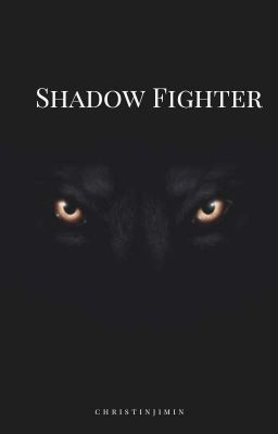 Shadow Fighter 