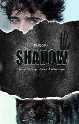 SHADOW [Flesh 3] (GAY)