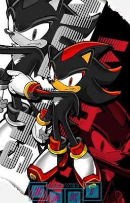 Shadow the hedgehog