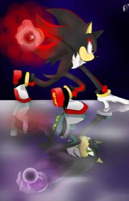 Shadow the hedgehog: what a shadow leaves behind