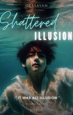 Shattered illusions 