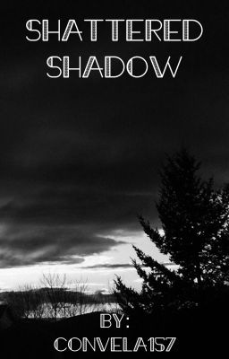 Shattered Shadow: Shadows Book Two