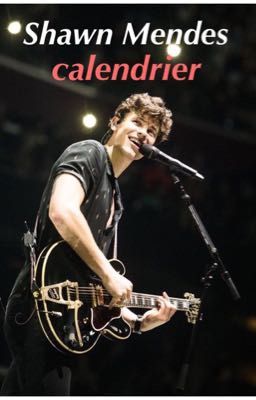 Shawn Mendes calendrier 