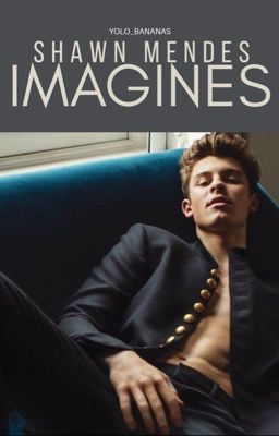 Shawn Mendes Imagines