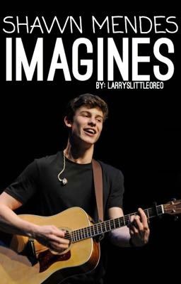 Shawn Mendes Imagines 