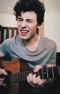 Shawn Mendes Imagines (Smut, Fluff)