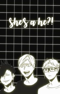 shes a he?! ❀ haikyuu various x reader