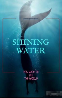 SHINING WATER (you wish to see the world)