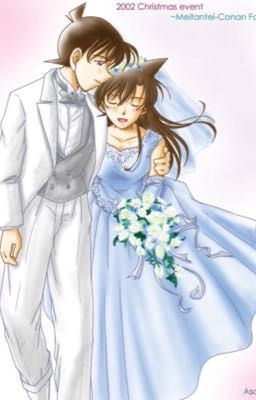 [shinran] giấc mơ hay sự thật