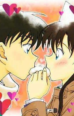 shinran kaiao hakshi hatka 