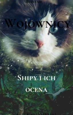 Shipy i ich ocena 