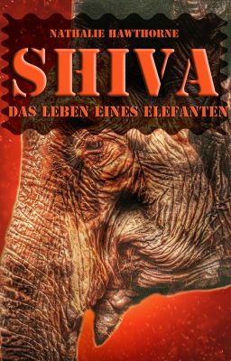 ✅ SHIVA - Das Leben eines Elefanten