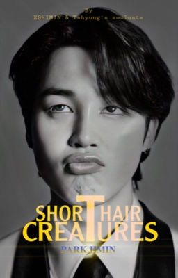 SHORT HAIR CREATURES || PJM  