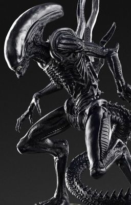 Short Story (A 'My Xenomorph' Fanfic)