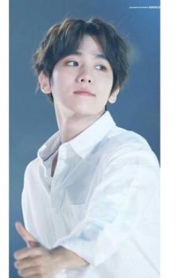 (Shortfic )(ChanBaek) Xin Lỗi! Tôi Không Đủ Sức Để Yêu Anh