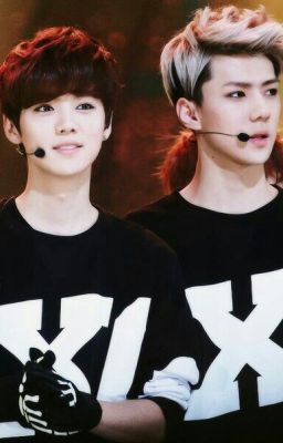 [SHORTFIC HUNHAN] [18+, Hiện Đại ]Nhật Ký Yêu Người