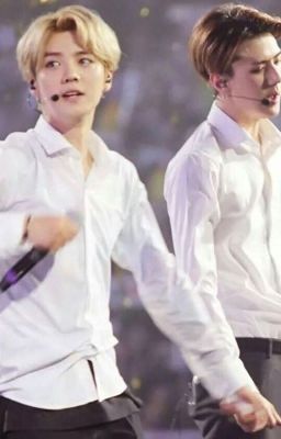 <Shortfic><HunHan>Chủ tịch và tôi