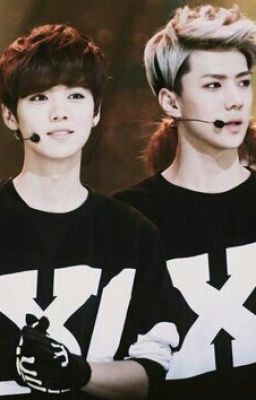 Shortfic [HunHan] Hun ah! Please stop! Because I love you!