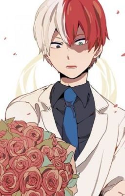 Shoto Todoroki x reader