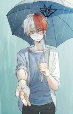 Shoto Todoroki X Reader 