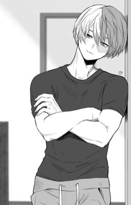 [Shoto Todoroki x Reader] Giấc mơ không muốn tỉnh