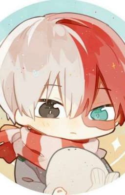 Shoto Todoroki x Reader One-Shots