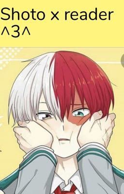 Shoto x reader ^3^