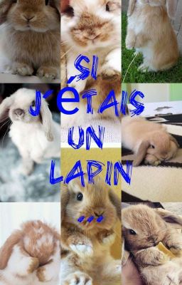 Si j'étais un lapin...