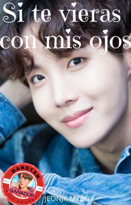 Si te vieras con mis ojos (Jung Hoseok)