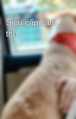 Siêu cấp cầm thú