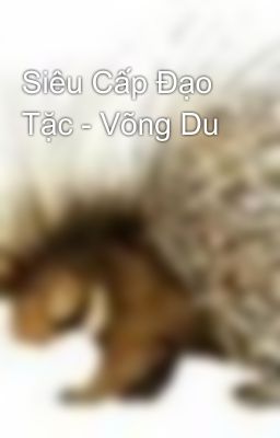 Siêu Cấp Đạo Tặc - Võng Du 