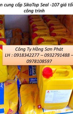 SIKATOP SEAL 107 CHỐNG THẤM BÊN TRONG BỂ NƯỚC GIÁ RẺ -0978108597 MINH