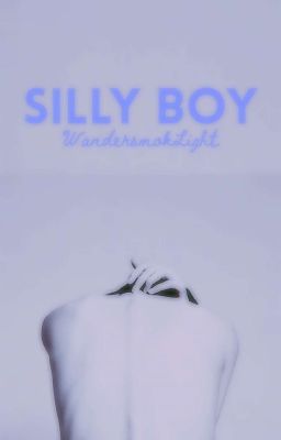 Silly Boy |ᴍɪʀᴀᴄᴜʟᴜᴍ/ʟᴜᴋᴀᴅʀɪᴇɴ ᴏɴᴇ sʜᴏᴛ| ✓