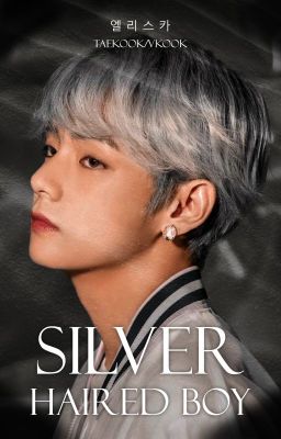 Silver Haired Boy (Taekook/Vkook) CZ