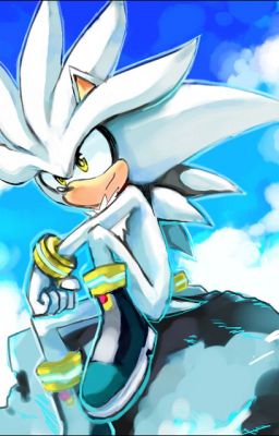 Silver the Hedgehog - An Adventure of the Generations