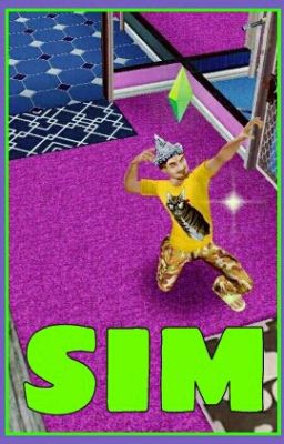 Sim Freeplay