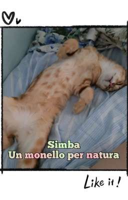 Simba: Un monello per natura 