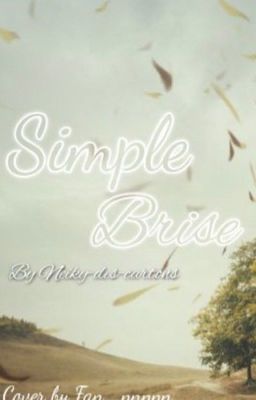 Simple brise 