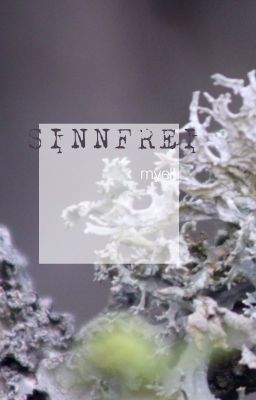 Sinnfrei