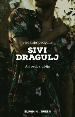 Sivi dragulj