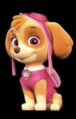 skye la nueva cachorra paw patrol