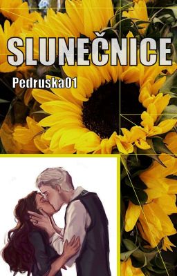 Slunečnice