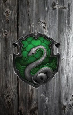 Slytherin Queen (Draco X Reader)