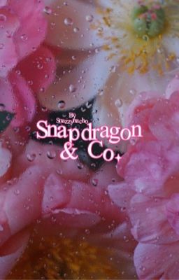 Snapdragon & Co. | THE HOBBIT/THORIN X OC