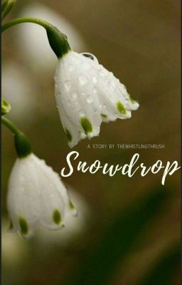 Snowdrop [Complete]