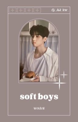 soft boys / wonhui