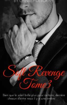 SOFT REVENGE  tome 3